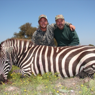 Trophy Zebra